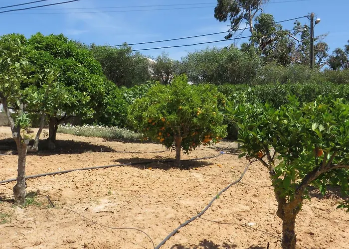 Cristina E Ricardo * Carvoeiro (Lagoa)
