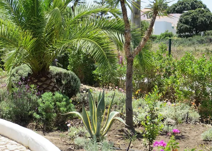 Villa Cristina E Ricardo Carvoeiro (Lagoa)