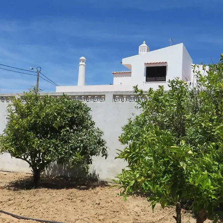 Cristina E Ricardo *