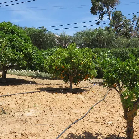 Cristina E Ricardo * 卡武埃鲁