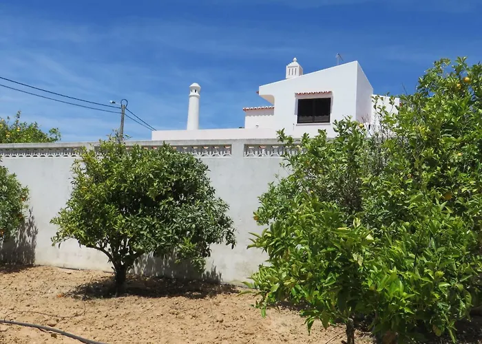 Cristina E Ricardo *